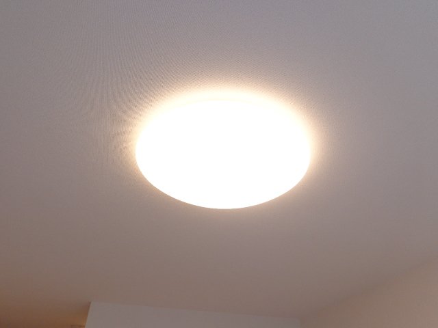 フローリッシュ・ガーデン102号室 全室リモコン照明