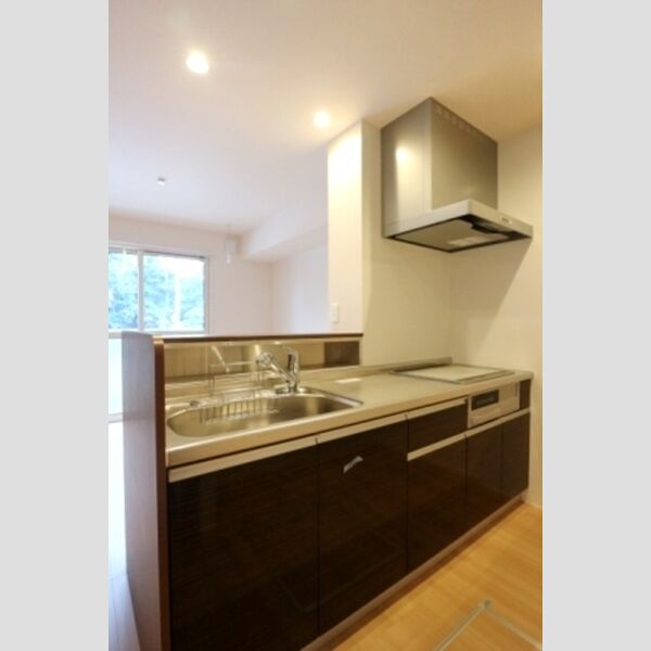 クレストフォーチュン　B102号室 システムキッチン