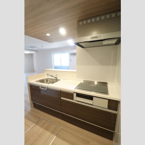 D-ROOM 分梅103号室 キッチン