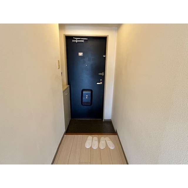 ハイアメージュ302号室 玄関