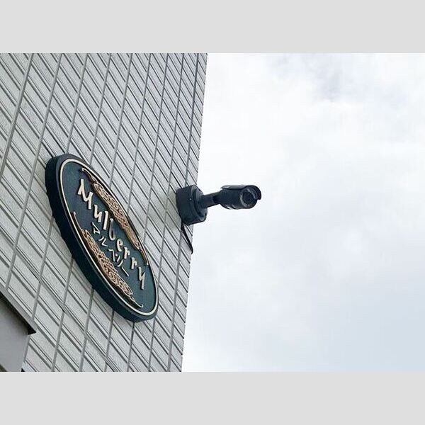 マルベリー 防犯カメラ