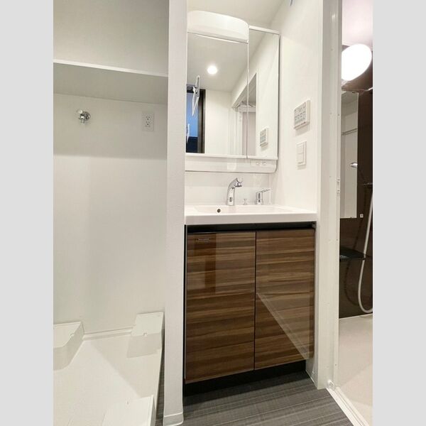 ロイジェント練馬高野台0405号室 独立洗面化粧台