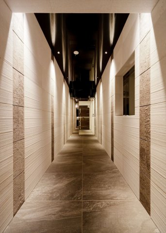 DIPS大山東町502号室 エントランス