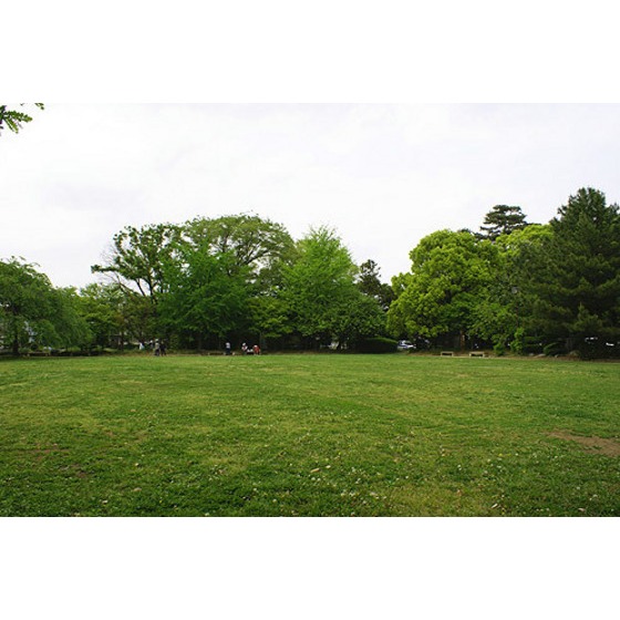 Ｍフラット 周辺