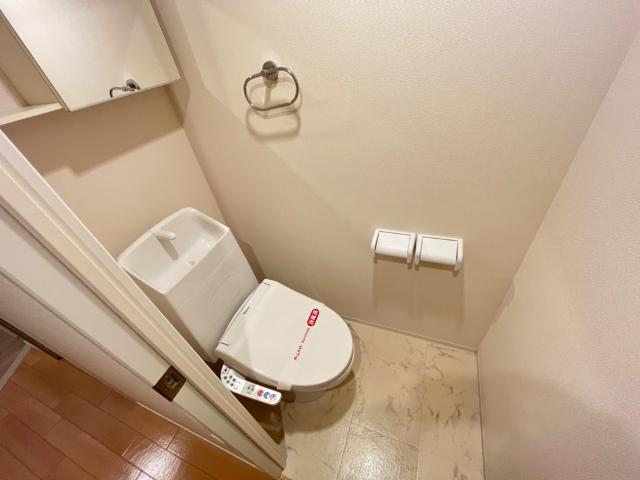 ジョリーメゾン（Ｊｏｌｉｅ　Ｍａｉｓｏｎ）201号室 トイレ