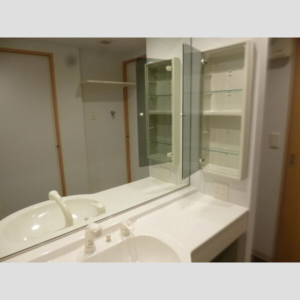 AKレジデンス本八幡805号室 洗面