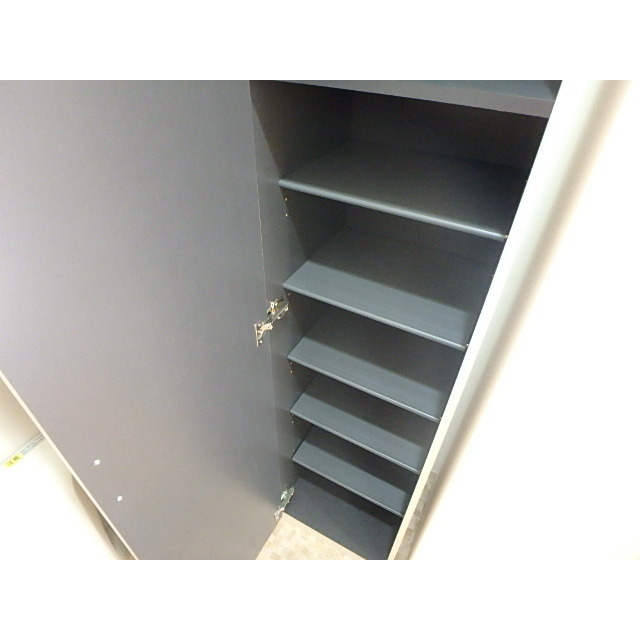 カーサ　ラゴーア301号室 玄関収納