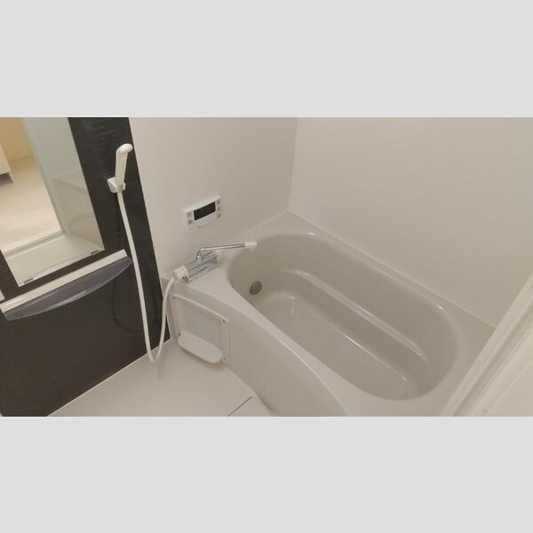 ロイジェントパークス レイクタウン Ⅲ　J302号室 同建物別部屋の参考画像