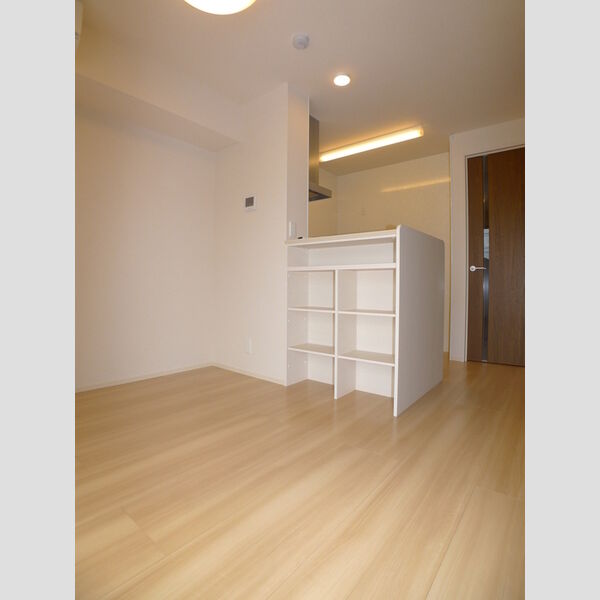 エヴァーラスティング千葉210号室 リビング