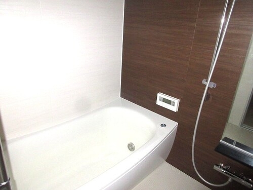 ザ・パークハウス西新宿タワー６０39階 浴室