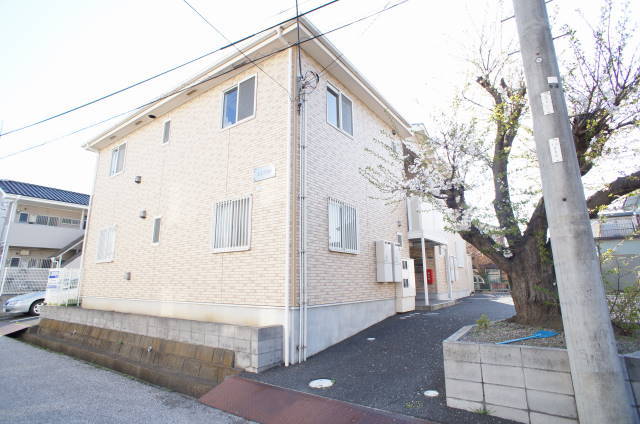 文京弐番館0201号室 敷地内に桜咲いてきれいですよ