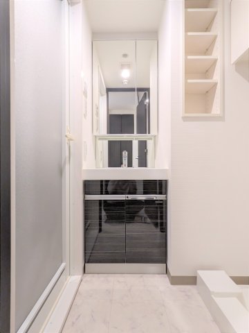 ケーディーエックスレジデンス豊洲814号室 洗面