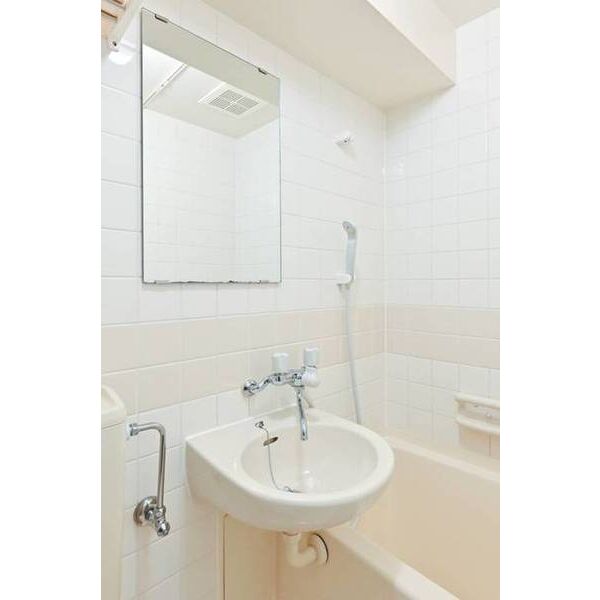 ブルーリーフ・K0311号室 洗面