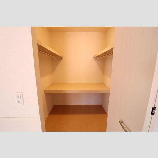 レ・セーナ202号室 ウォークインクローゼット