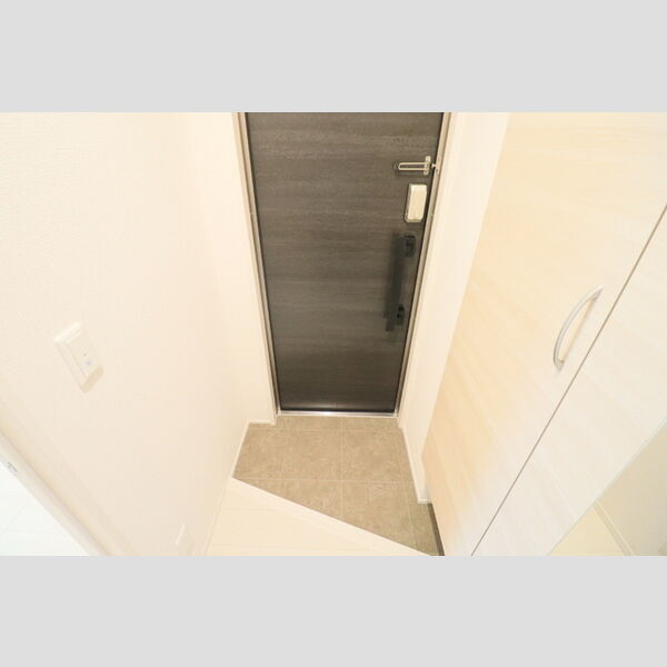 D Paina 中野島Ⅱ205号室 玄関