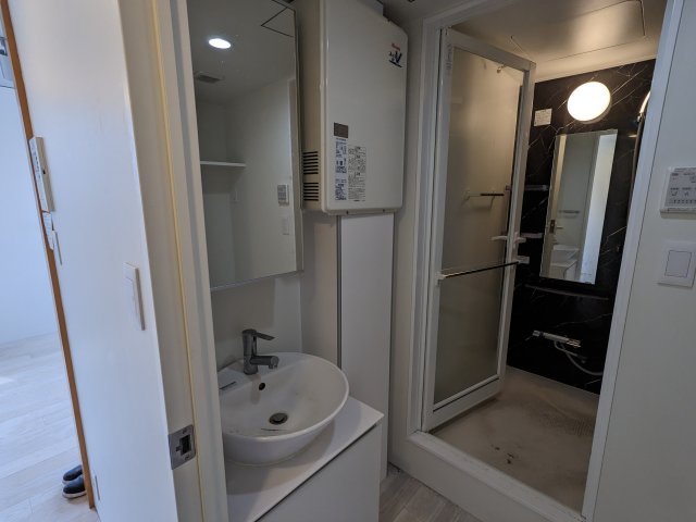 リーガランド恵比寿401号室 洗面