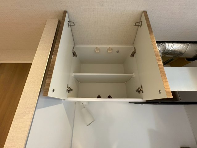 DIPS西新井603号室 収納