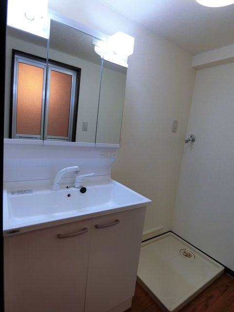 白樺0206号室 洗面