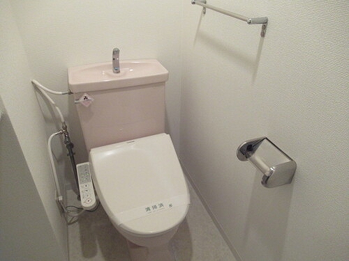 ライオンズテラス川越 トイレ