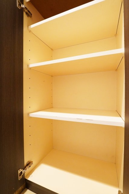 レガリアタワーレジデンス 靴入