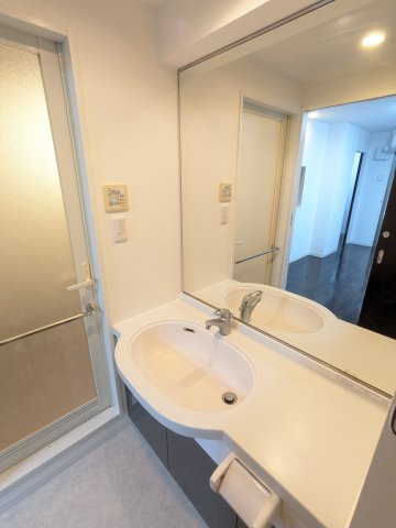 ベルジューレ高輪0102号室 洗面