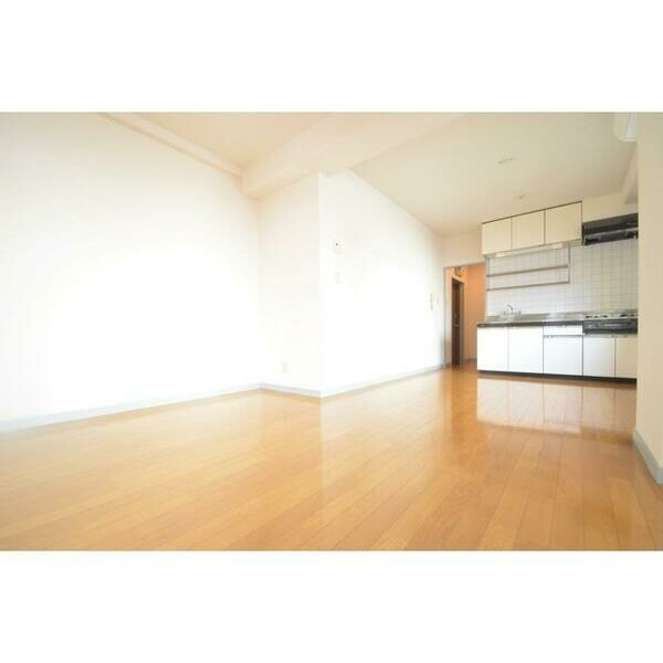 プラザ宿町303号室 リビング