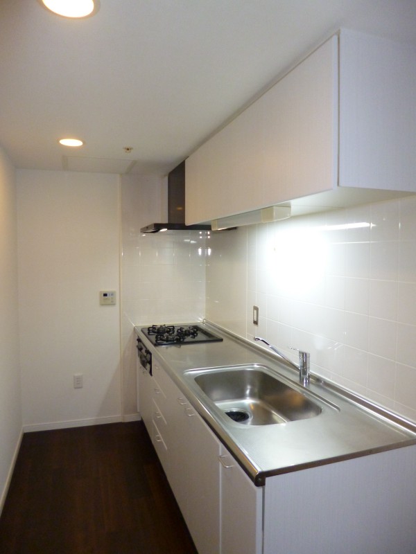 河田町ガーデン１号棟2階 キッチン