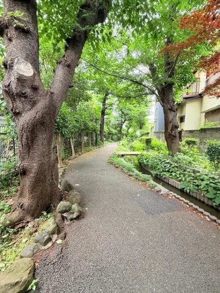 Ｓｏｌａｓｔ　Ｓｑｕａｒｅ綾瀬4階 部屋その他