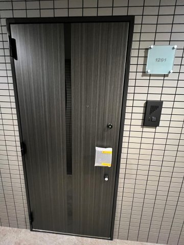 DIPS上野NORTH1201号室 玄関