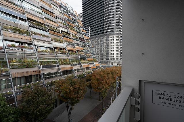 ALTERNA東池袋6階 眺望