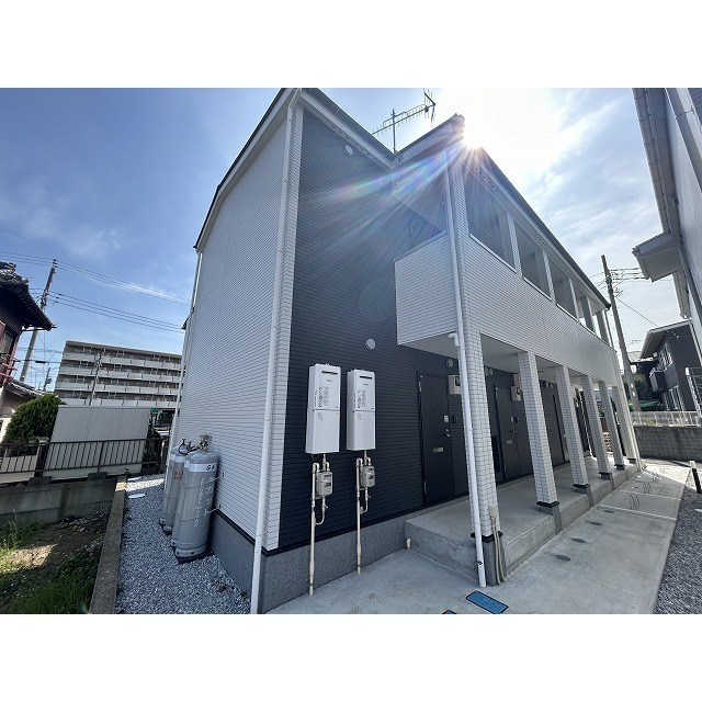 ｌｉｆｅｓｈｉｐ　Ｇ　apricot 外観