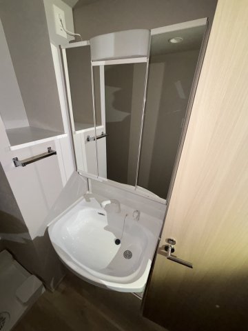 グランディアラフィーネ303号室 洗面