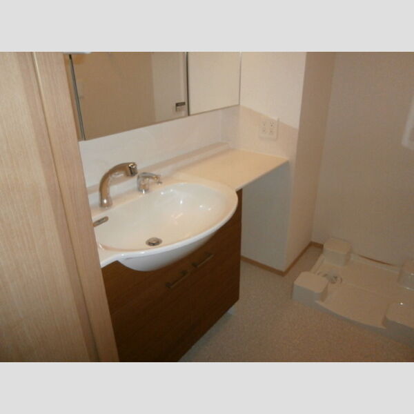 第3コスモスヴィラ101号室 101　洗面室