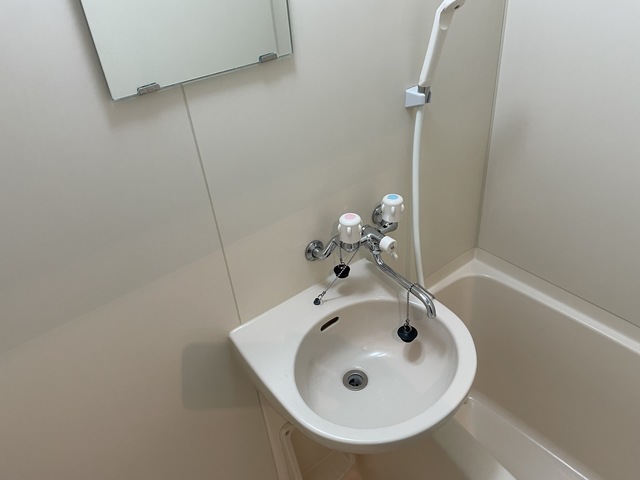 コートフローラ0306号室 洗面