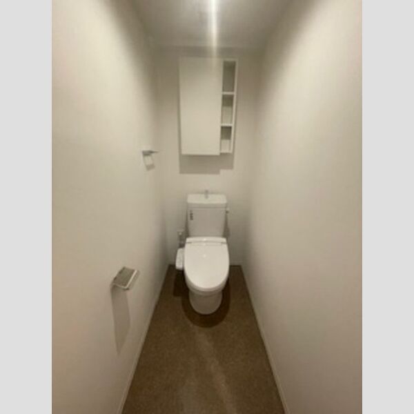 ロイジェント西新井0202号室 トイレ
