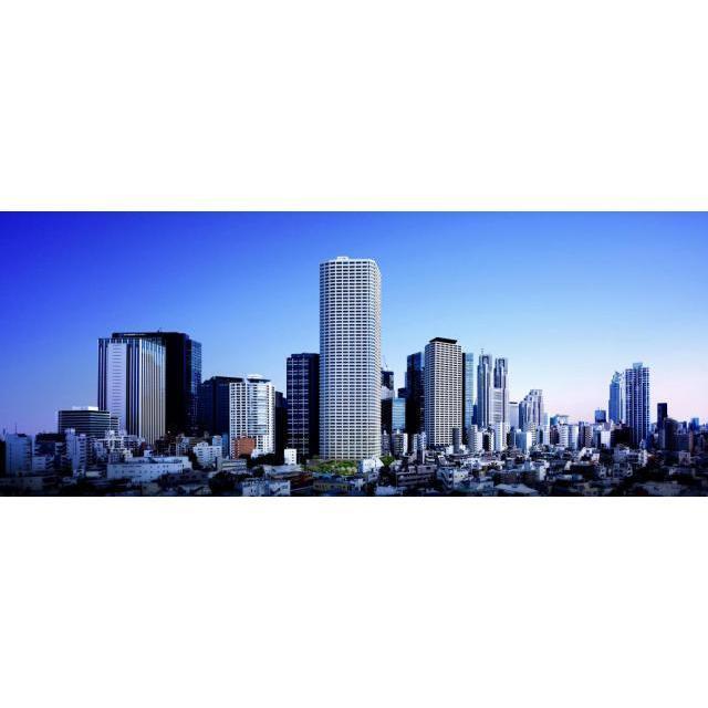 ザ・パークハウス西新宿タワー６０54階 部屋その他