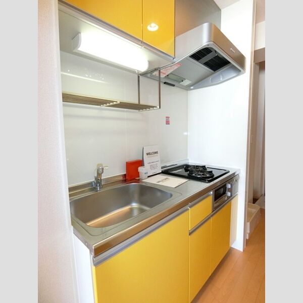 グランモア柳川AB　B202号室 システムキッチン