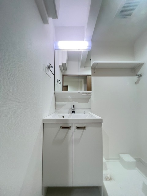 グランド・ガーラ麻布十番11階 洗面