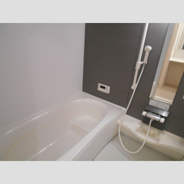 イルソーレ吉川美南　ジャッロ202号室 一坪風呂