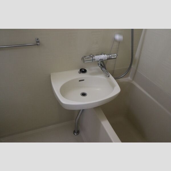 グリーンハウスクスノキ 洗面