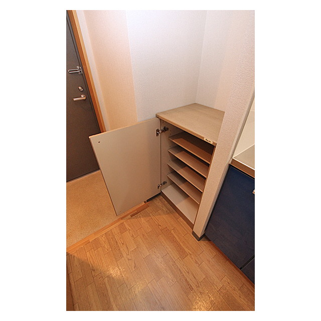 アドヴァンス石雅 内観