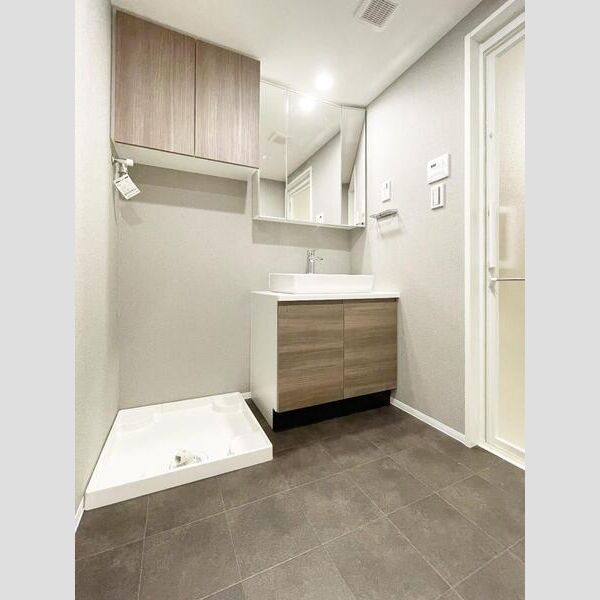 S-RESIDENCE駒沢大学駅前403号室 洗面