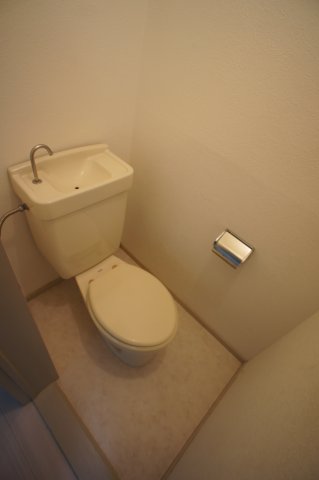 大野ハイツ0203号室 トイレ