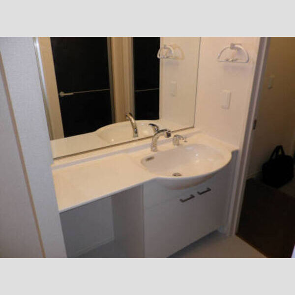 シャンドーレ西高島平202号室 シャンドーレ西高島平　洗髪洗面化粧台