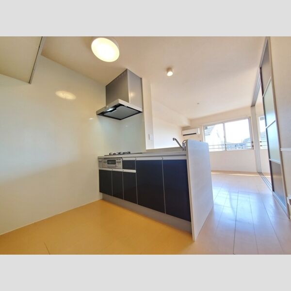 セピアパレス　B203号室 LDK