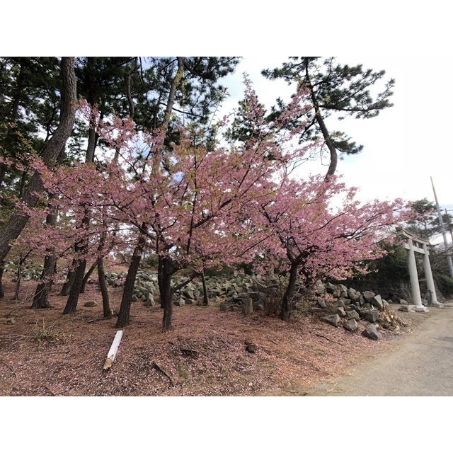 パルファージュ元町 周辺