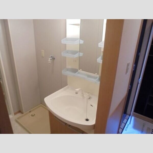 サンヴィラージュ　D102号室 洗髪洗面化粧台