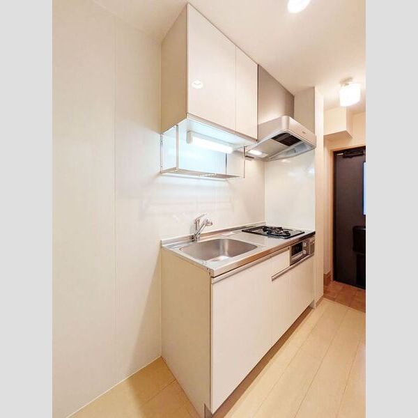 ウィルモアK・Ⅱ105号室 システムキッチン