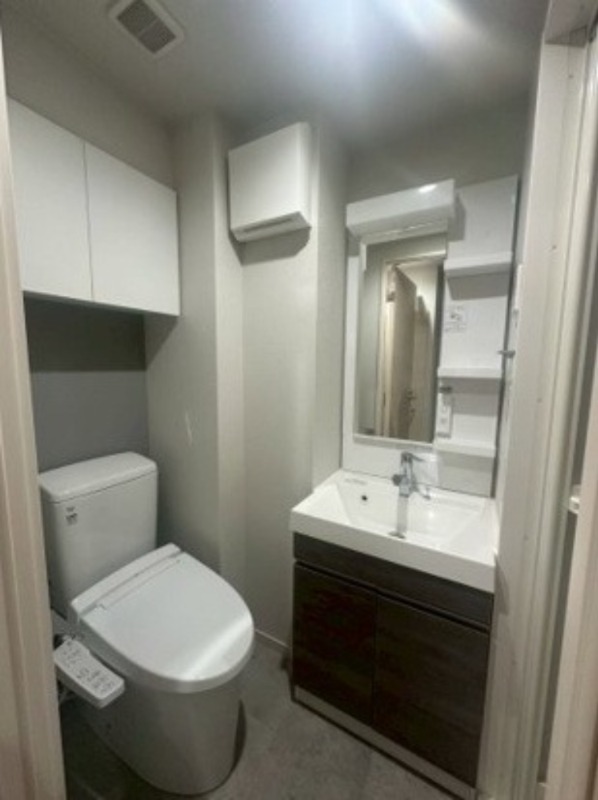 ジェノヴィア西川口Ⅳ6階 洗面