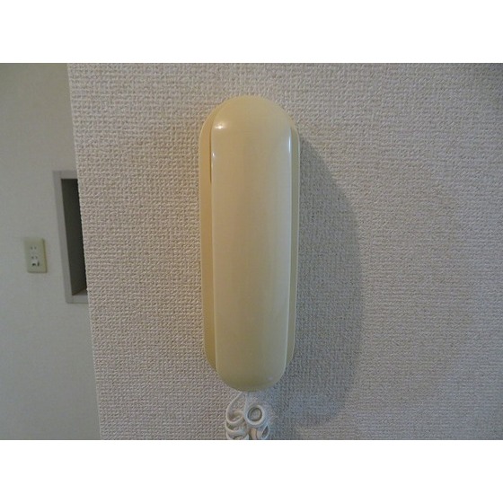 casa de rosa（旧レジデンス田中）0205号室 インターホン